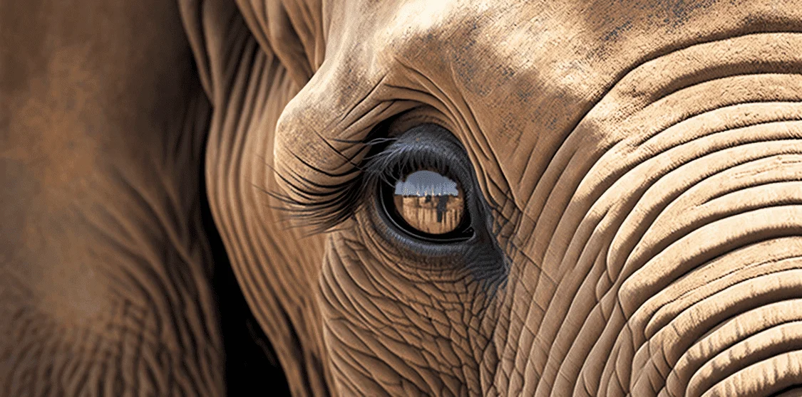 Elephant AI Generated Image